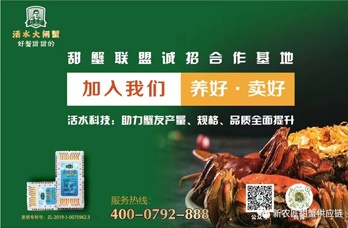 蟹不甜，退全款！养蟹界有股新势力，缔结联盟养甜蟹，产量、规格、品质一样都不少！